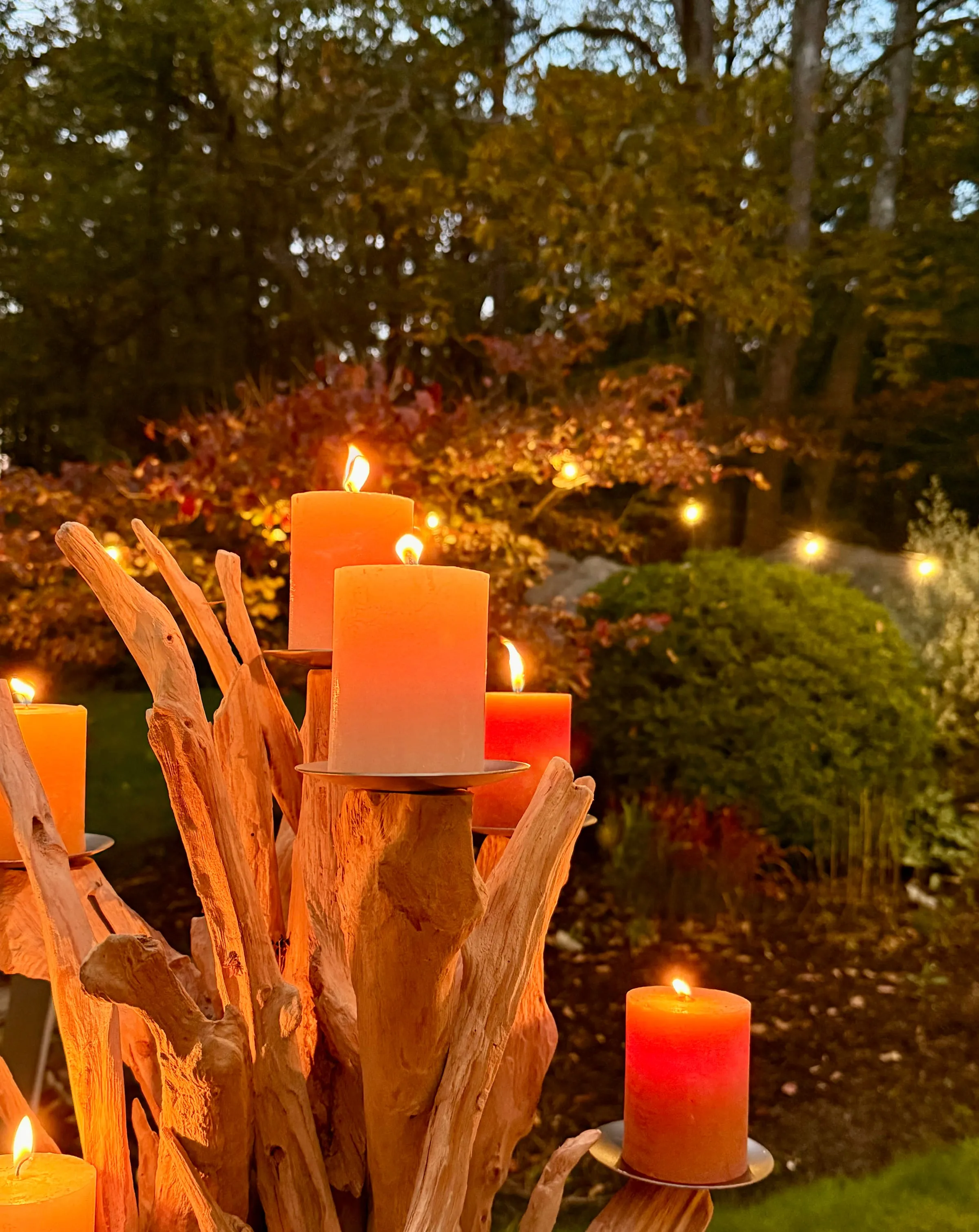 Notre Maison — NOCTA Catering, traiteur gastronomique Paris La Défense