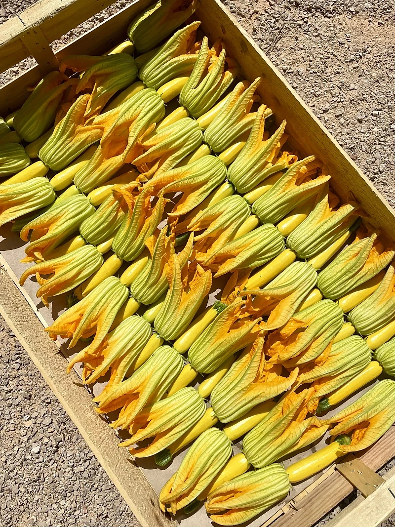 Fleur de courgette farcie — chef privé traiteur Paris Île-de-France